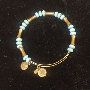 Alex and Ani charm bracelet